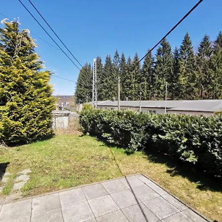 Ferienhaeuser Erzgebirge 別荘 *