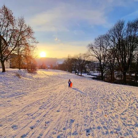 Ferienhaeuser Erzgebirge *