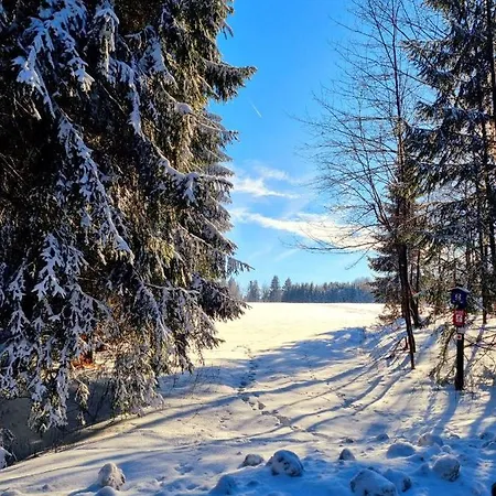 別荘 Ferienhaeuser Erzgebirge オルバーンハウ