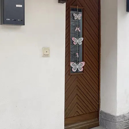 別荘 Ferienhaeuser Erzgebirge オルバーンハウ