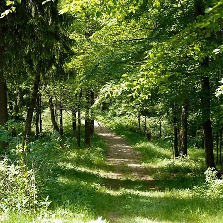 別荘 Ferienhaeuser Erzgebirge