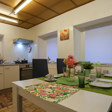 Ferienhaeuser Erzgebirge Holiday home Olbernhau