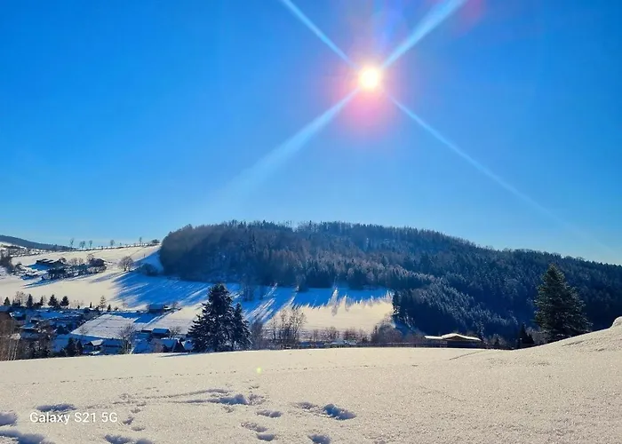 Ferienhaeuser Erzgebirge Vakantiehuis *
